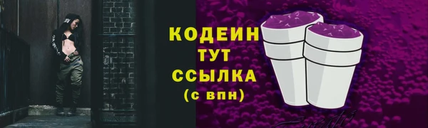 мдпв Осинники